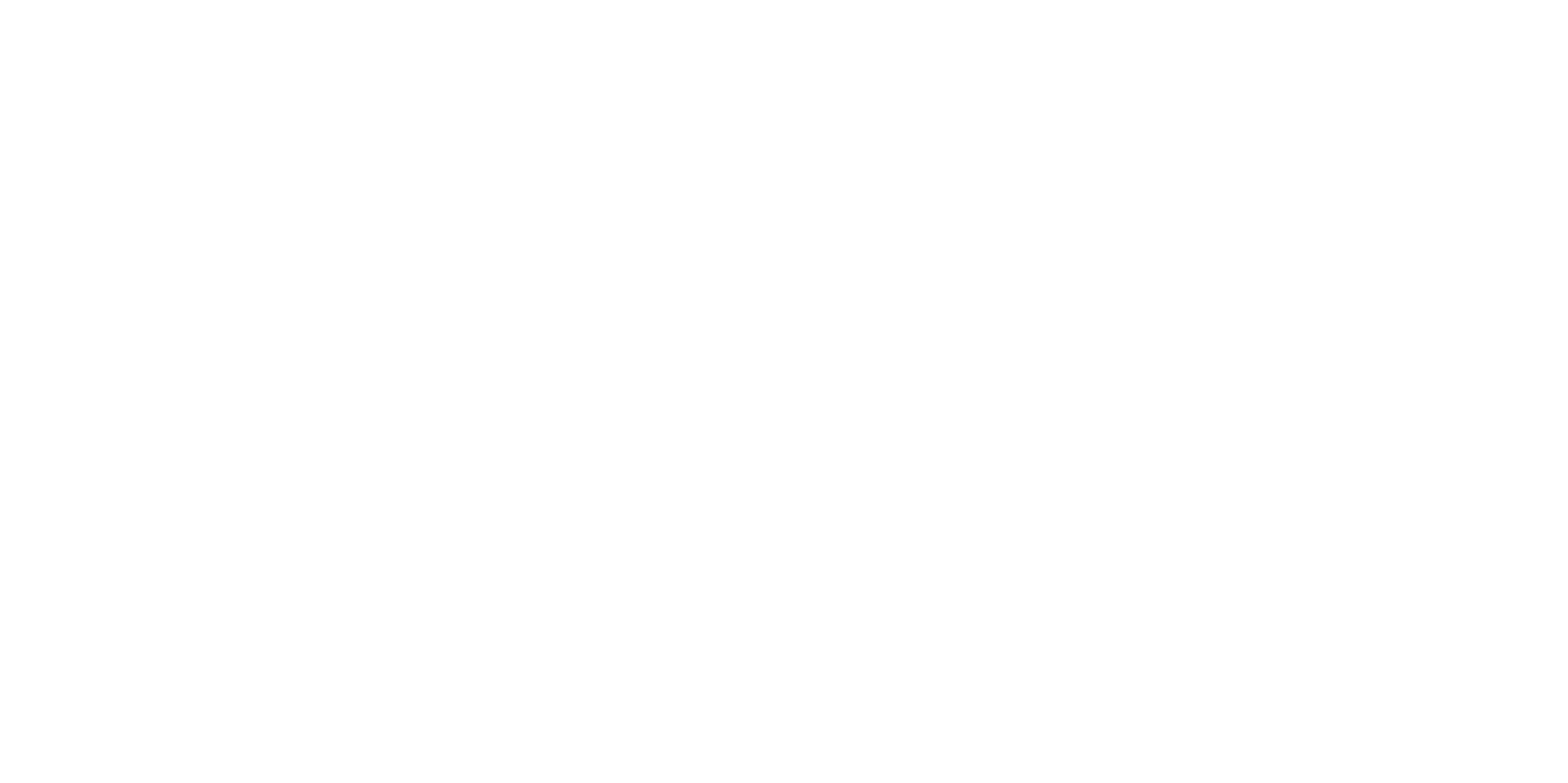 Pure Escape Pro+ Suspension